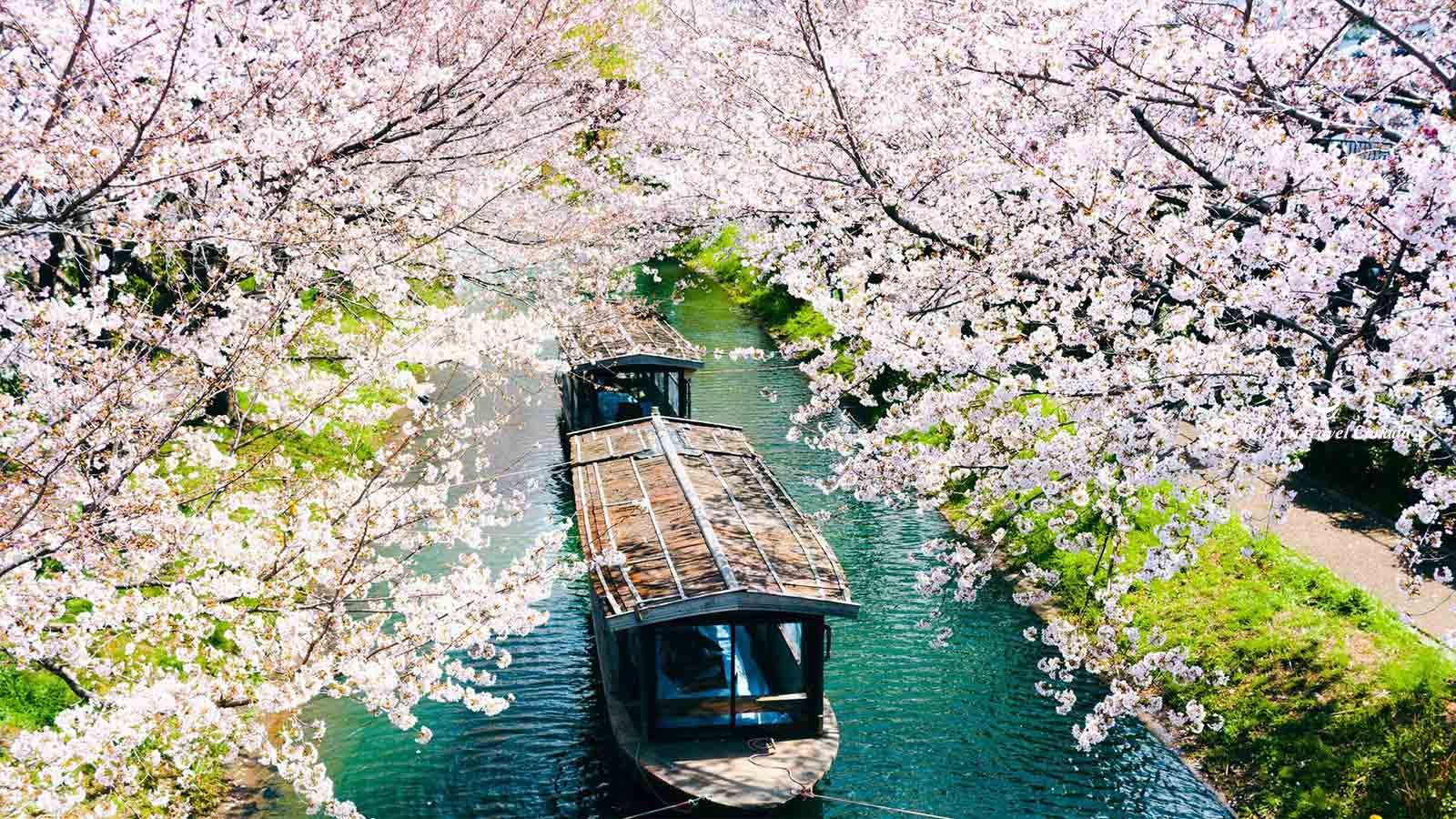 Japan Tours - Alaedin Travel Canada