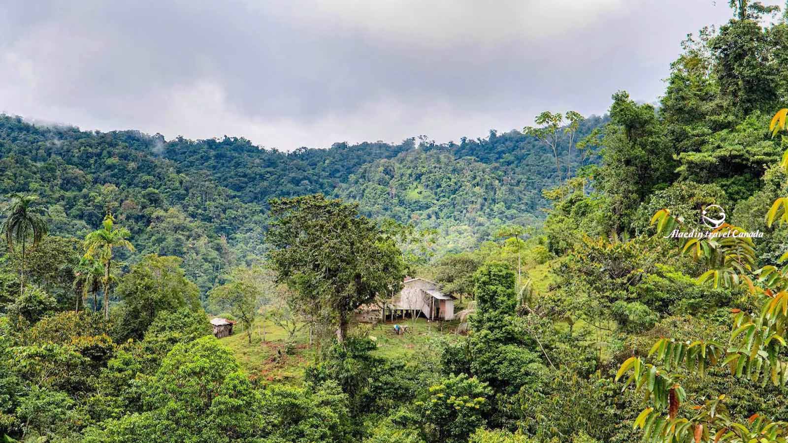 Costa Rica Tours - Alaedin Travel Canada