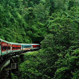 India Tours