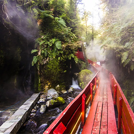 Chile Tours